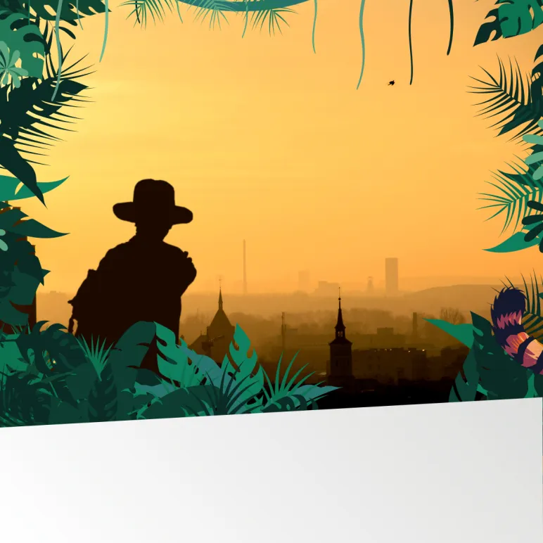 łowca na tle zachodu słońca